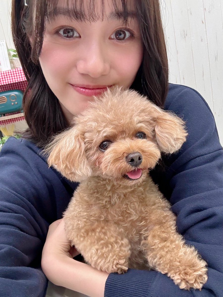 InfoItomiku's tweet image. イーデザイン損保さんのかわいすぎるムービー 
#わんはっぴーわんどらいぶ 収録のときの写真と
#伊藤美来 愛犬のピノとのツーショット♪ 

収録のメイキング動画はこちらから↓
e-design.net/lp/pet/?cid=sn…

たくさん「ワンッ」って鳴いていました🐶 笑 

#PR #ペット特約セット