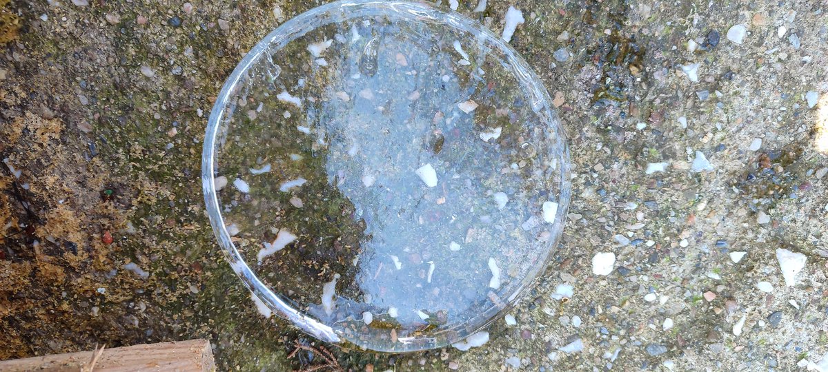 Bu nasıl bir soğuktur suların bile buz tutması ve İzmir'de bir damla kar olmaması çok enteresan