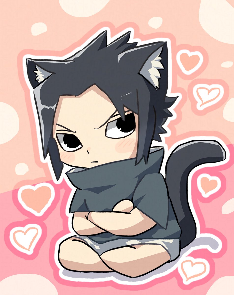 mitieru's tweet photo. 猫の日なので
猫サスケです🐱 https://t.co/qdawru6x10