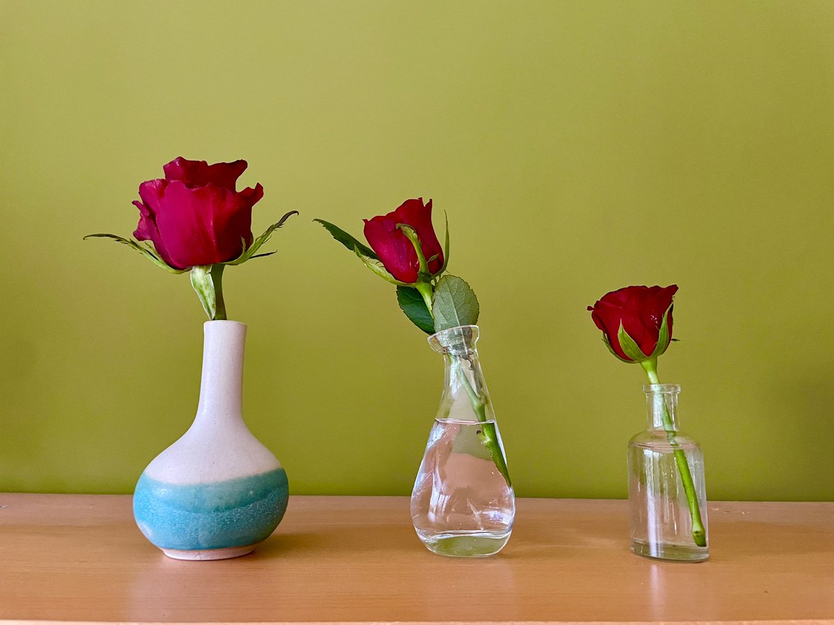 Stifyn1's tweet photo. All in order #rhes #allinorder #roses #lounge #naturephotography #saturday #weekend #winter #february https://t.co/MEFed8t36Y
