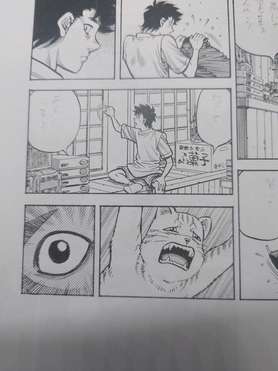 『猫の日』。 