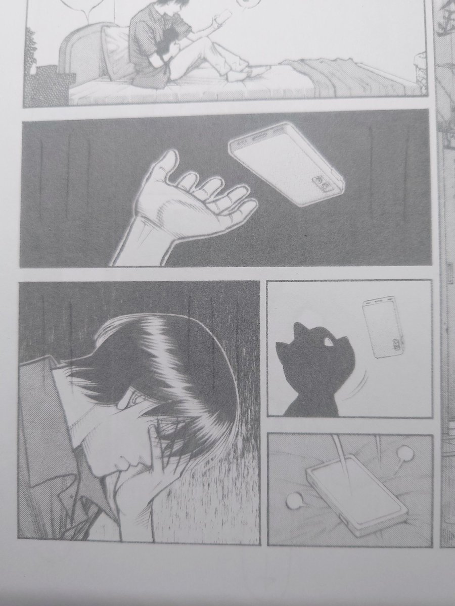 『猫の日』。 