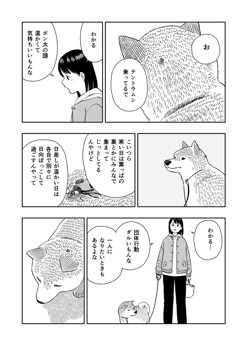 今日のさんぽんた  230 