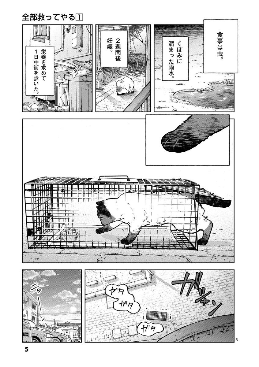 ネコの多頭飼育崩壊の実態とは…?(1/12) 