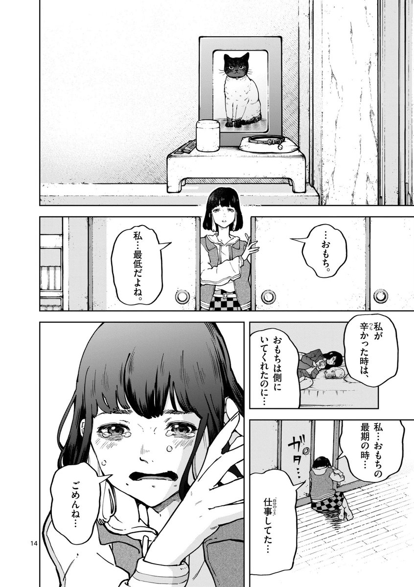 ネコの多頭飼育崩壊の実態とは…?(4/12) 
