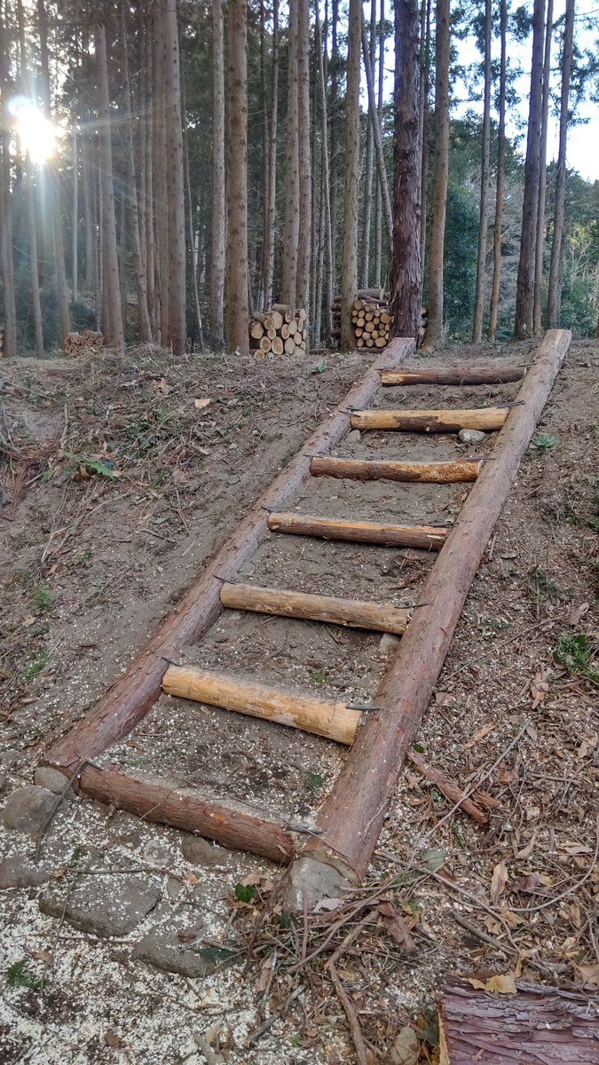 KABA362's tweet photo. もともとは棚田だった土地🌲動線を楽にするために階段を増設🪵
#林間サイト
#KABA36 https://t.co/oynjGS1d5S