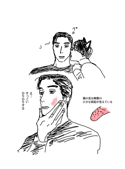 @no_TL 「聡狂と猫」 60分 #聡いキミに狂わされワンドロ 