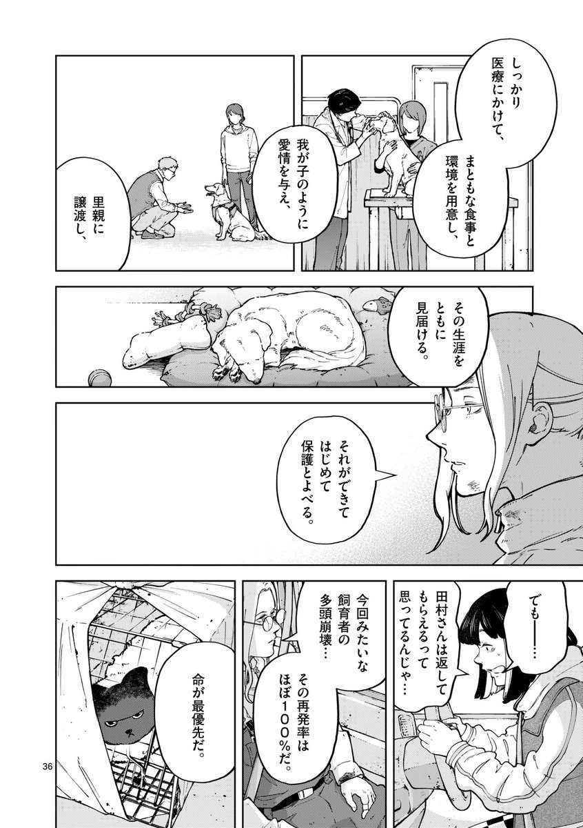 ネコの多頭飼育崩壊の実態とは…?(9/12) 