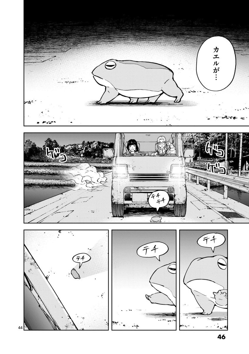 ネコの多頭飼育崩壊の実態とは…?(11/12) 