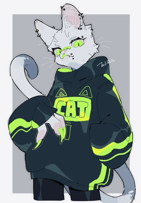 うちの猫 