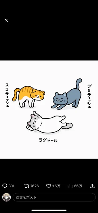 わぁい 