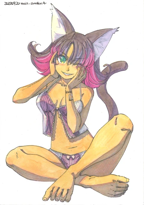 #猫の日 