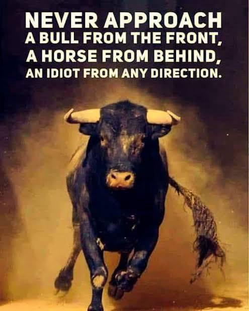 IamMzilikazi's tweet photo. WORDS OF WISDOM: We learn everyday #WakeUpEverybody✊🏿 https://t.co/p3PGWSW2tu