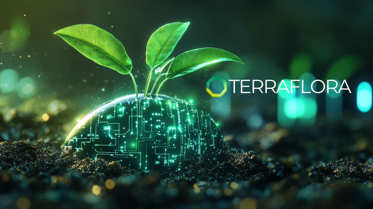 Terraflora_io's tweet image. 🌱 AI + DePIN = Smarter Farming 🚀
What if your soil could tell you exactly which seed to plant for maximum yield? With AI-powered insights and real-time data from our DePIN devices, we analyze soil health, nutrients, and climate conditions to recommend the perfect seed for…