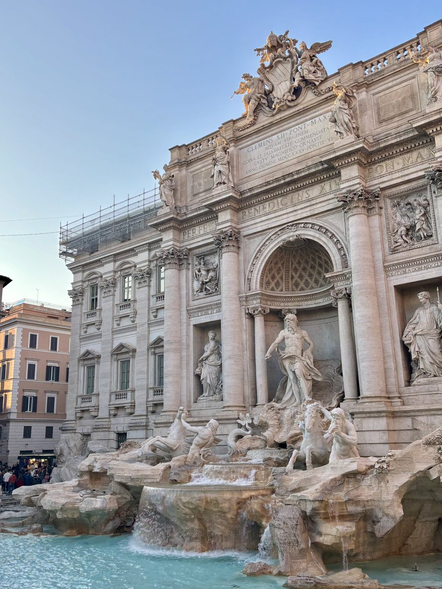 elise 𝜗𝜚 tweet media