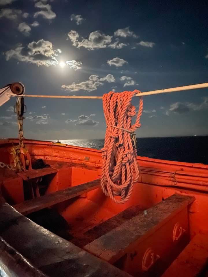 «Δαπανηρή ιδέα ο βίος.
Ναυλώνεις έναν κόσμο,
για να κάνεις το γύρο μιας βάρκας..»

Κική Δημουλά