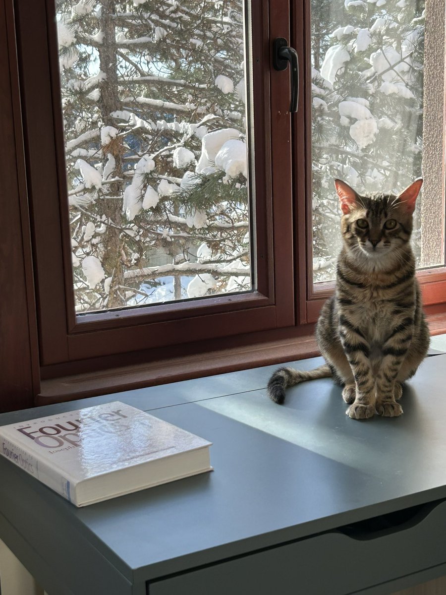 My desk is invaded by Kıtır. He is responsible for all of my delays 😜