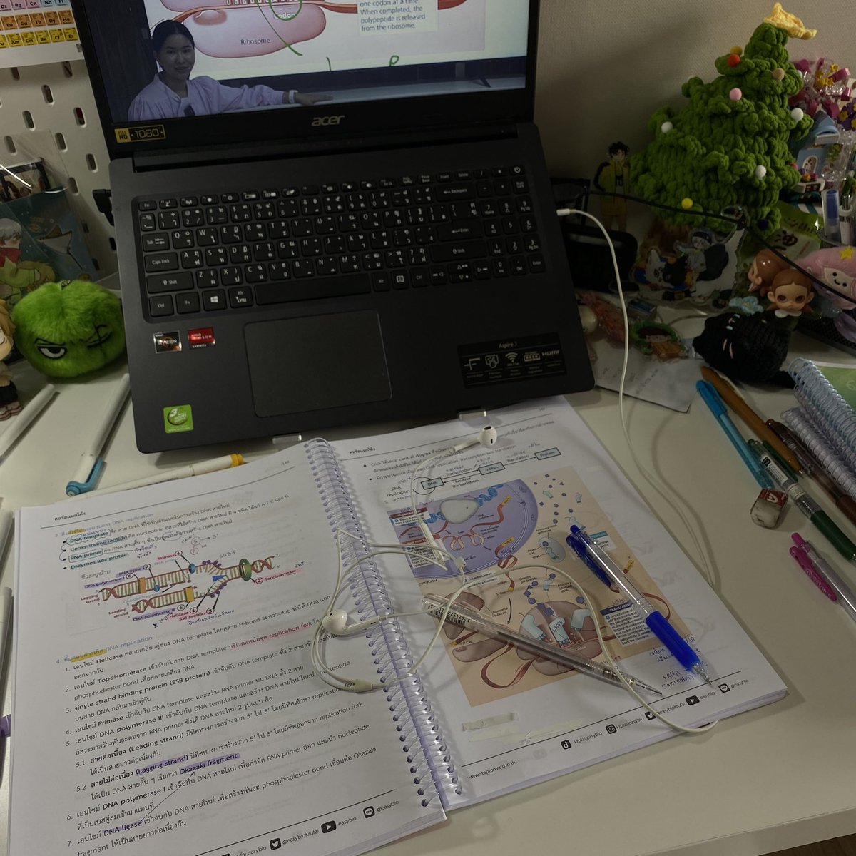 บ่ายที่มีชีวะ 🧑🏻‍🔬🧬
Study  ——>  sleeP