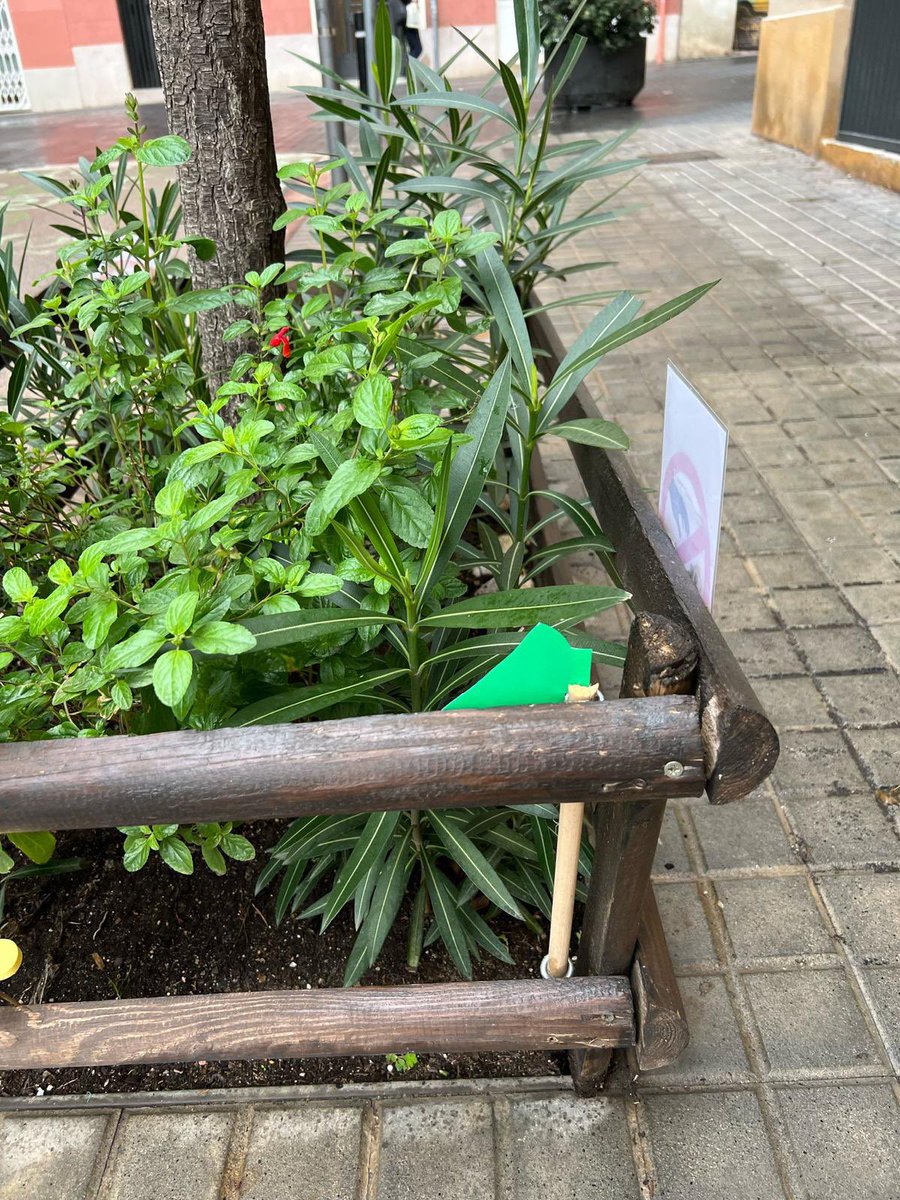 avplacafarga's tweet photo. Per enèssima vegada apareixen molinets trencats als #escocells plantats de la Farga. Davant l’incivisme i la maldat d’alguns, el veïnat demostra tenacitat. Mil vegades els trencaran, mil vegades els reposaran. #sombarri https://t.co/Z5VW95Kaue
