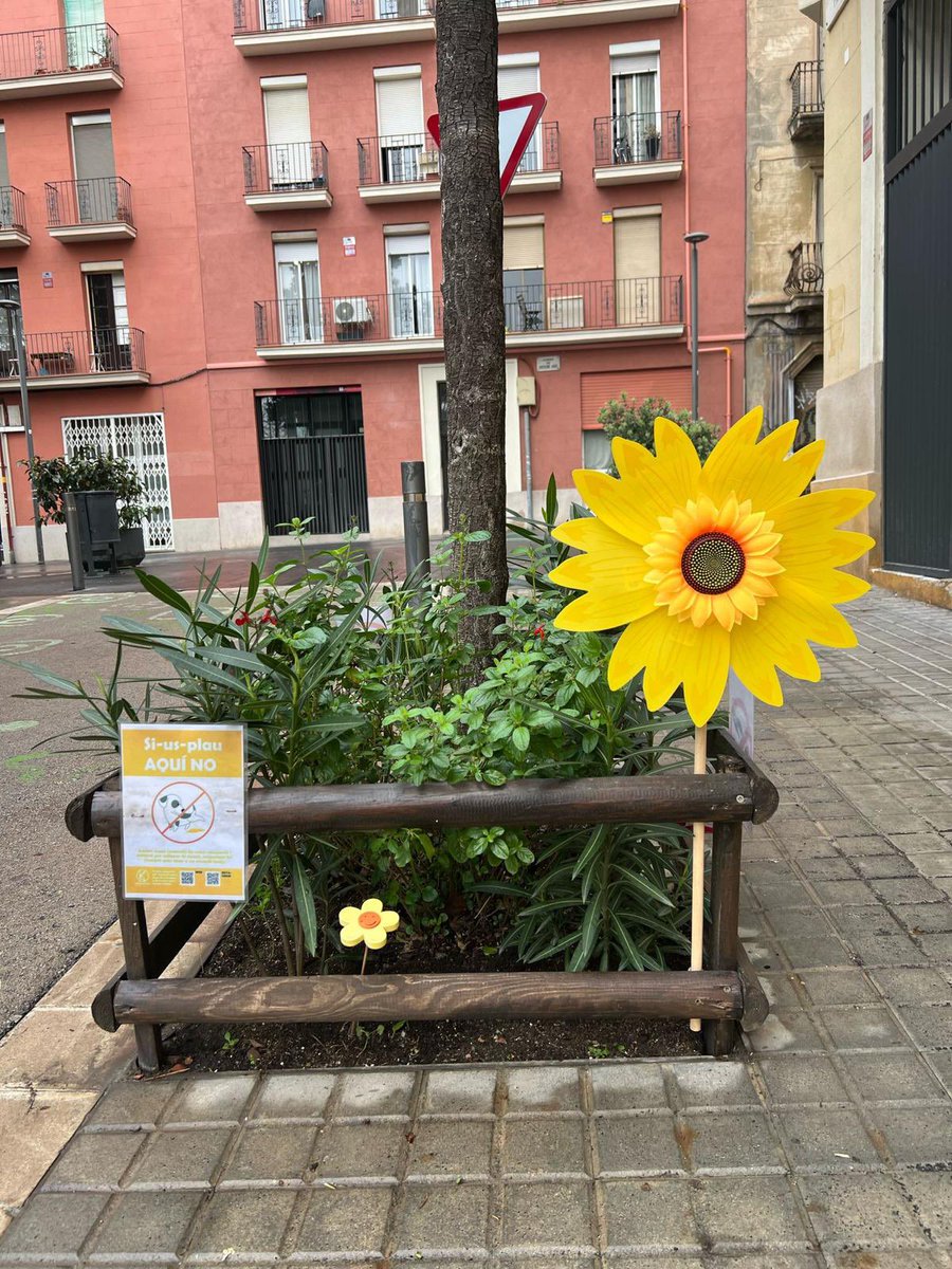 avplacafarga's tweet photo. Per enèssima vegada apareixen molinets trencats als #escocells plantats de la Farga. Davant l’incivisme i la maldat d’alguns, el veïnat demostra tenacitat. Mil vegades els trencaran, mil vegades els reposaran. #sombarri https://t.co/Z5VW95Kaue