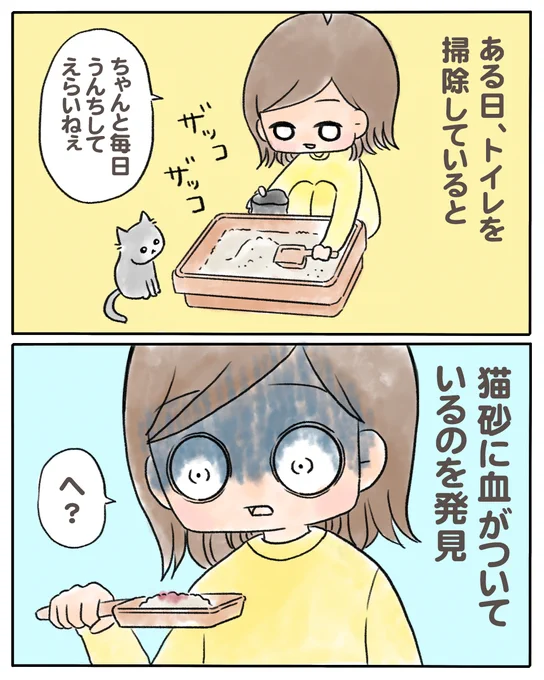 うちの猫が少食なのは
「食物アレルギー」が原因だった話【前編】

(0/9)#猫の日 