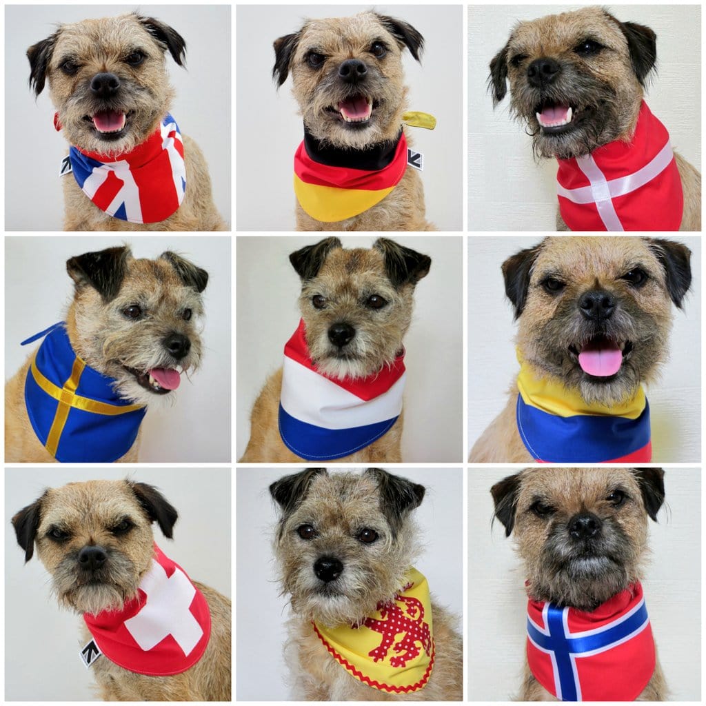 Looking to bespotted out and about this year, why not treat your dog to Heidi s #bandana  collection from <a href="/misheleneous/">MisHelenEous | Gifts for Home & Hound</a> ( link to Etsy shop in bio ) #UKGiftHour