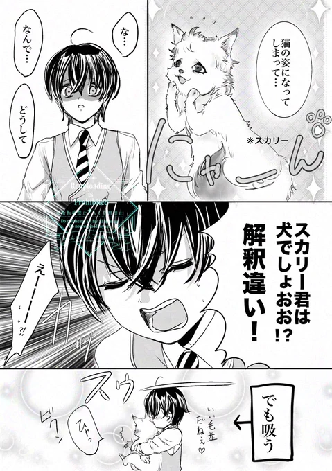 スカ監/グレ監♀(顔あり)
たぶん錬金術の事故で猫になったスカリーくん
猫の日に間に合った!
 #twstプラス 