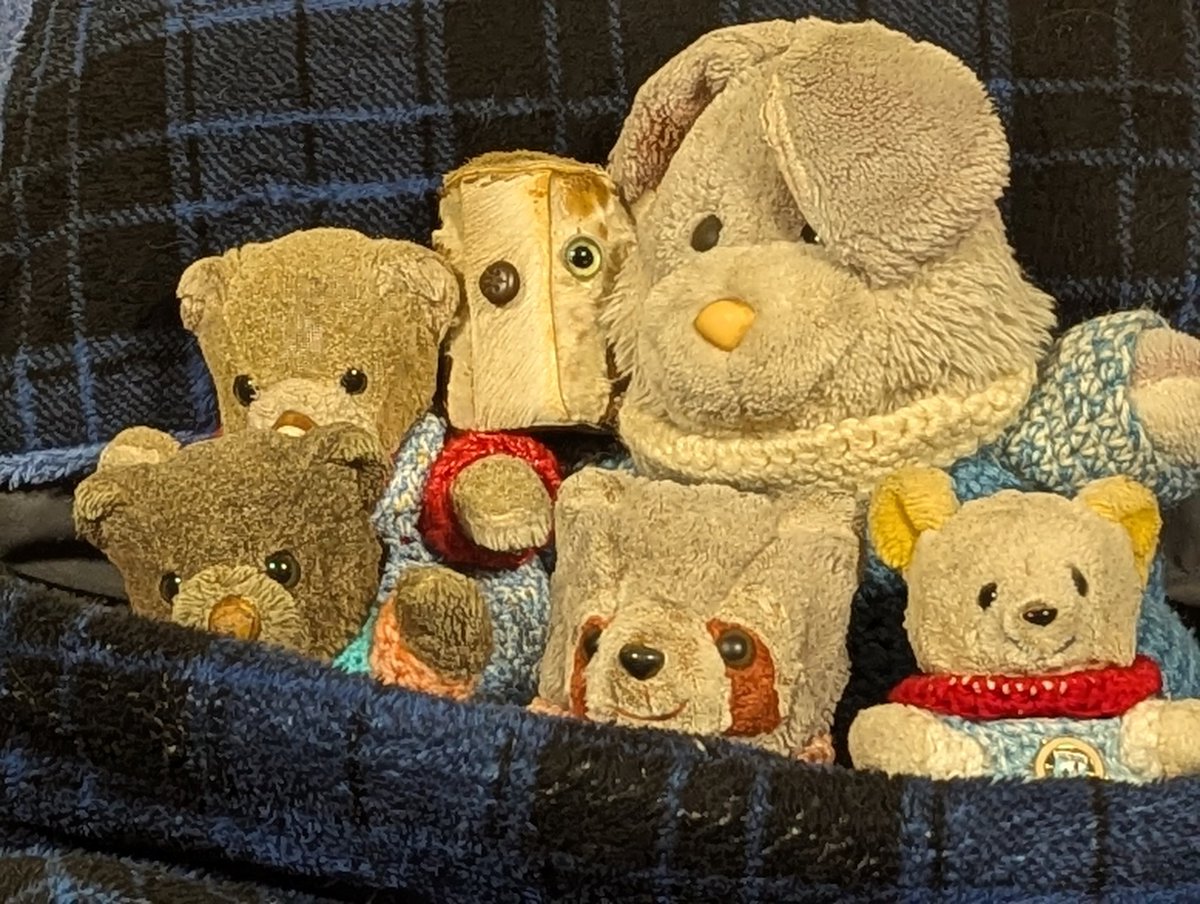 BiddieBunnies's tweet photo. Snuggle Saturday #saturdaymorning #SaturdayMotivation #Saturday #sat #SaturdayD #satmorning #cosy #snuggle https://t.co/vf5SQfOqdJ