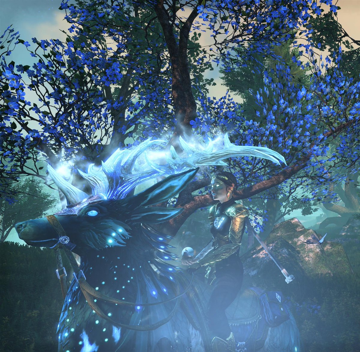 Haradraneth's tweet photo. ✨️💙✨️ #haradraneth #eso #ElderScrollsOnline #gamer #gamergirl #gamescape #fyp https://t.co/IO9XyiYCZP