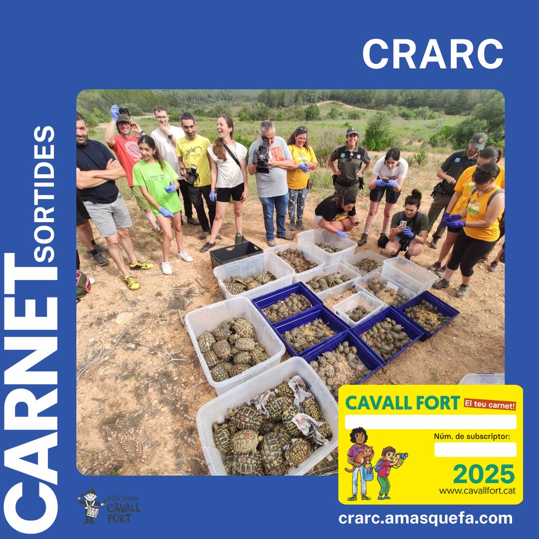 Si us agraden les tortugues, serps i llangardaixos, us agradarà visitar el <a href="/CRARC_Masquefa/">CRARC</a>. S’hi fan tallers, activitats i visites guiades per a conèixer i descobrir el món dels rèptils i dels amfibis! 

Amb el carnet de CavallFort tindreu una entrada gratuïta.