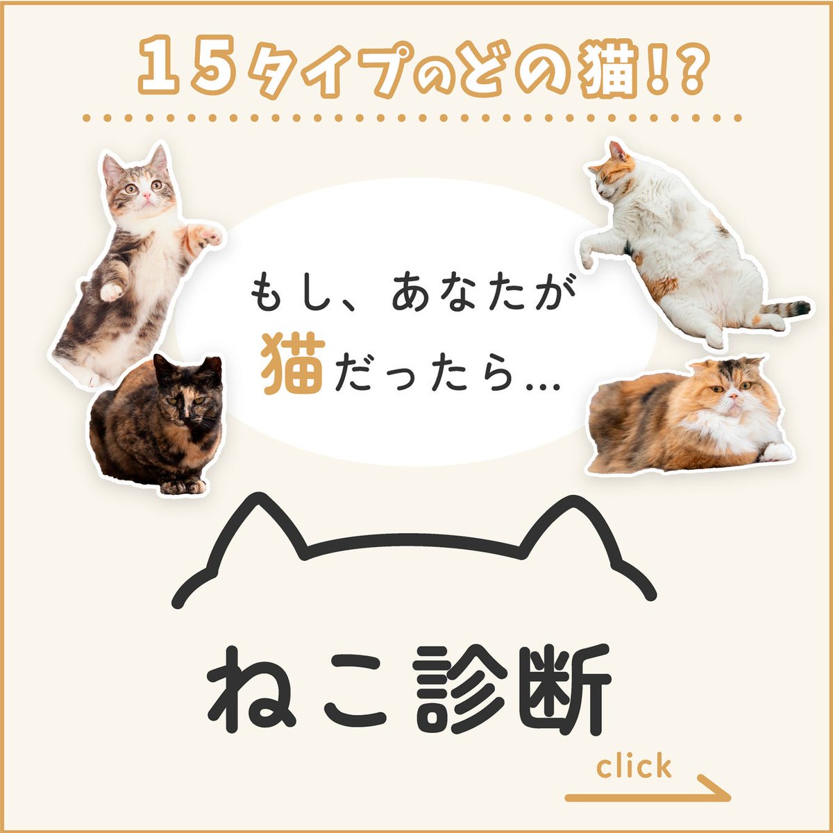 もし、あなたが猫だったら…」 前代未聞！？ あなたのねこ属性がわかる