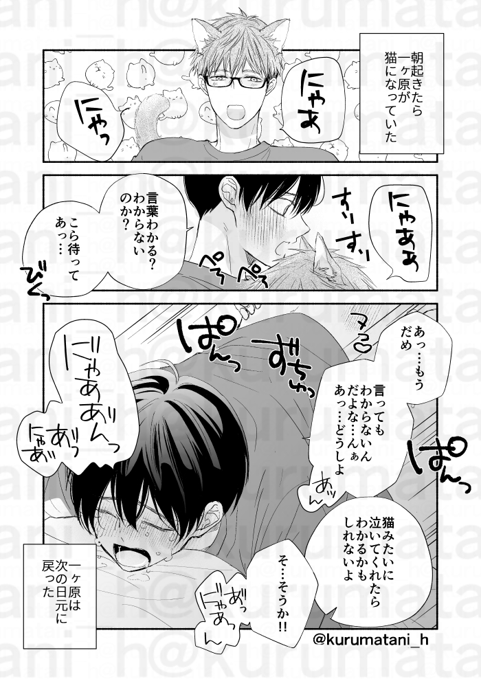 (2/4)幼馴染の執着溺愛攻めくんとチョロ受けDKくんの猫の日 