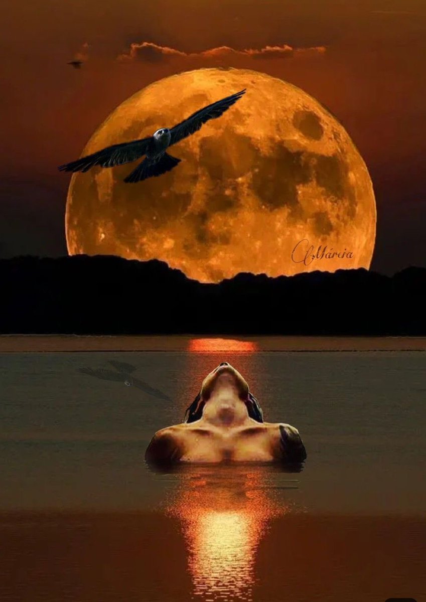 maximumpain333's tweet photo. SELF ACCEPTANCE

It takes years to be comfortable in your own skin.

Decades. 
A lifetime. 
So feel it. 

Don't be ashamed of yourself. 
Of your body. 
Of your feelings. 
Be you.

And do not give into the anxieties of life. Do not give into your insecurities. 
You've been through wars.
Through hell and back to be where you are. 

So don't let anyone make you feel any less. 

Know who you are.

~ Unknown

✨🙌🏾💫