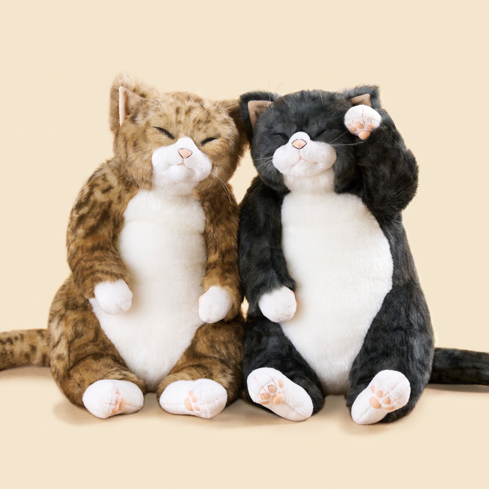 Amazon.co.jp: cuddly カドリー 猫 ぬいぐるみ ブルース : おもちゃ