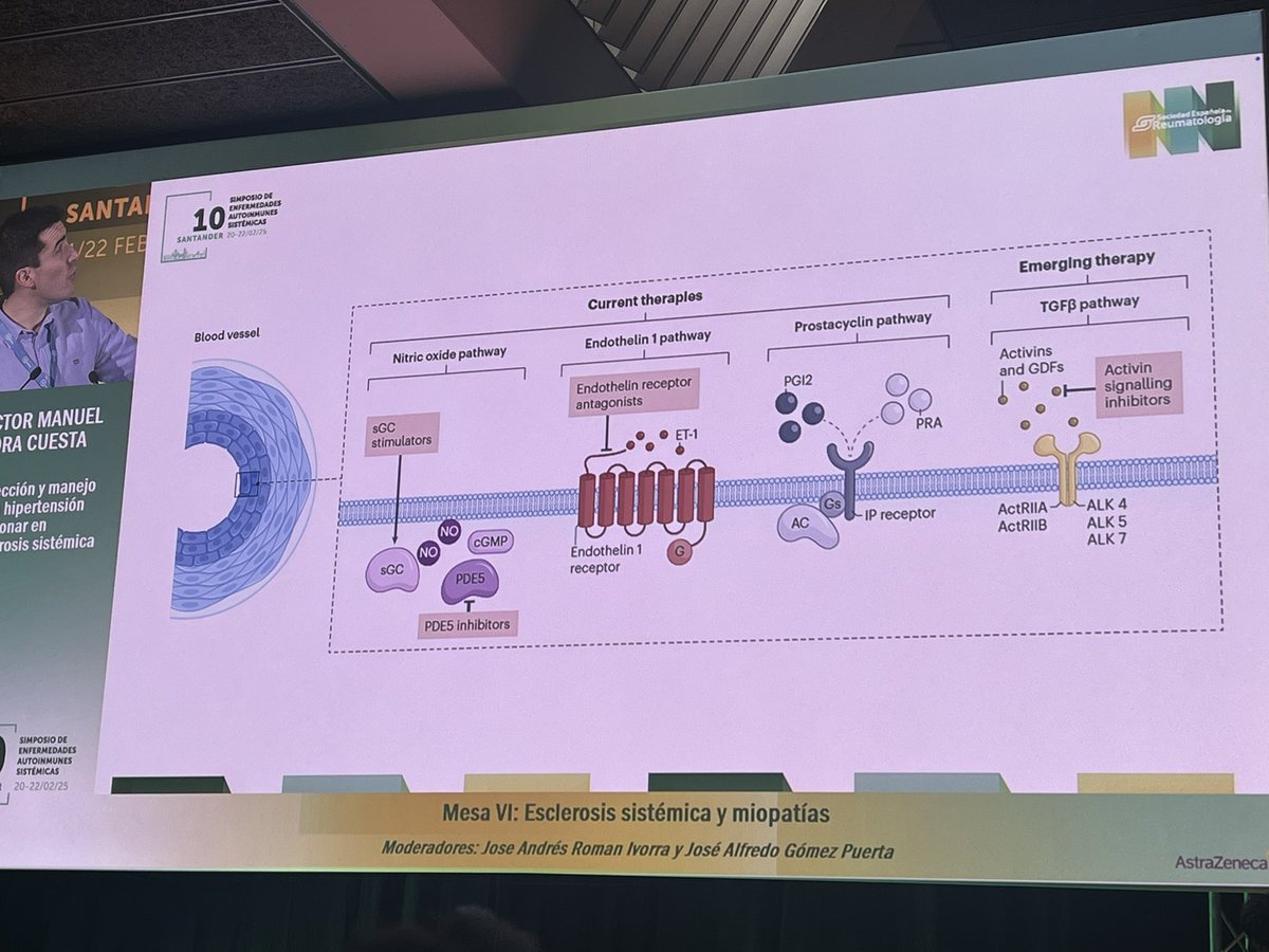 Dianas terapéuticas en la HAP #simposioEAS25