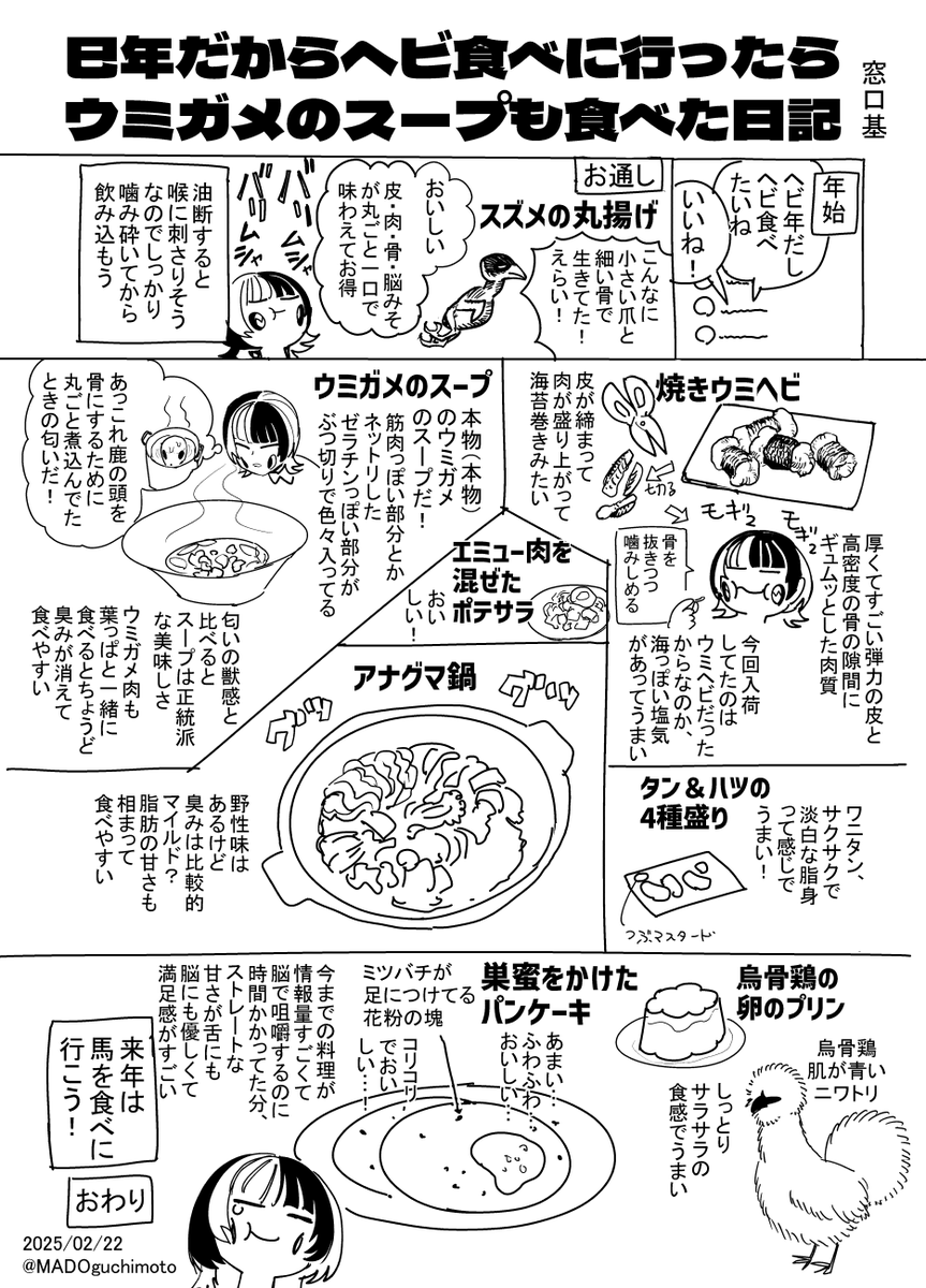ウミガメのスープを食べた!日記 