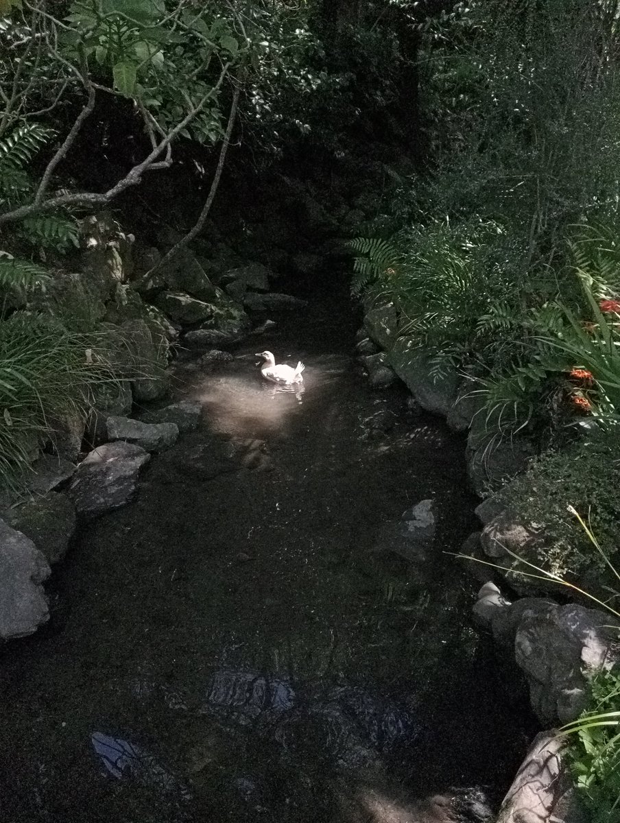 cringle8093 tweet media