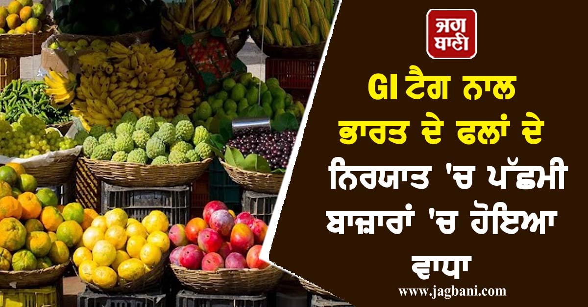 JagbaniOnline's tweet image. GI ਟੈਗ ਨਾਲ ਭਾਰਤ ਦੇ ਫਲਾਂ ਦੇ ਨਿਰਯਾਤ 'ਚ ਪੱਛਮੀ ਬਾਜ਼ਾਰਾਂ 'ਚ ਹੋਇਆ ਵਾਧਾ
jagbani.punjabkesari.in/business/news/…
#indias #fruitexports #westernmarkets #gitags