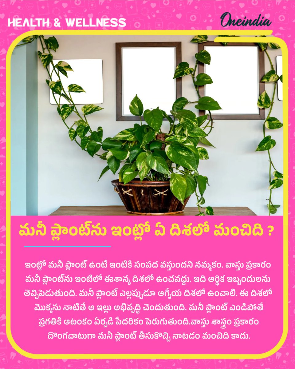 oneindiatelugu's tweet image. మనీ ప్లాంట్‌ను ఇంట్లో ఏ దిశలో మంచిది ?
#moneyplant #vastutips #vastudirection #astrology #jyotishyam #zodiacsigns #Oneindiatelugu