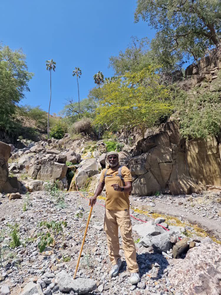 medalihed's tweet photo. En me promenant dans mon terroir, j’ai découvert un coin paradisiaque où la nature s’épanouit en secret, loin des regards. https://t.co/mGGqlxMEgl