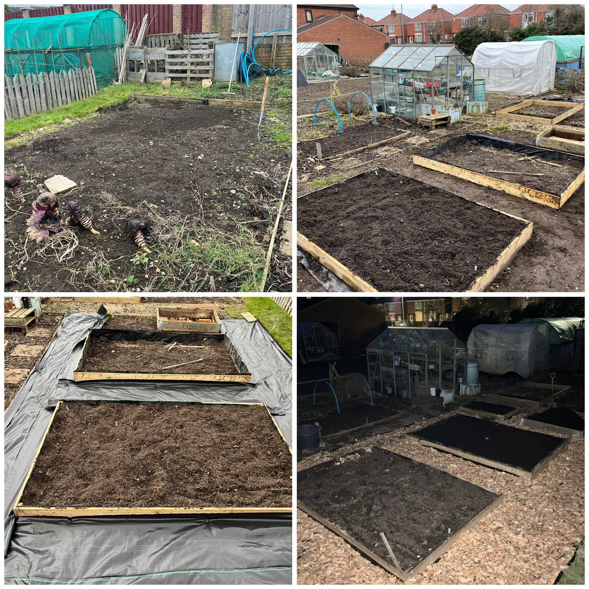 Progress update. Cleared, beds built, membrane laid and soil and wood chip laid. Off up the allotment again today. #GardenersWorld #GardeningX #Allotment #GrowYourOwn