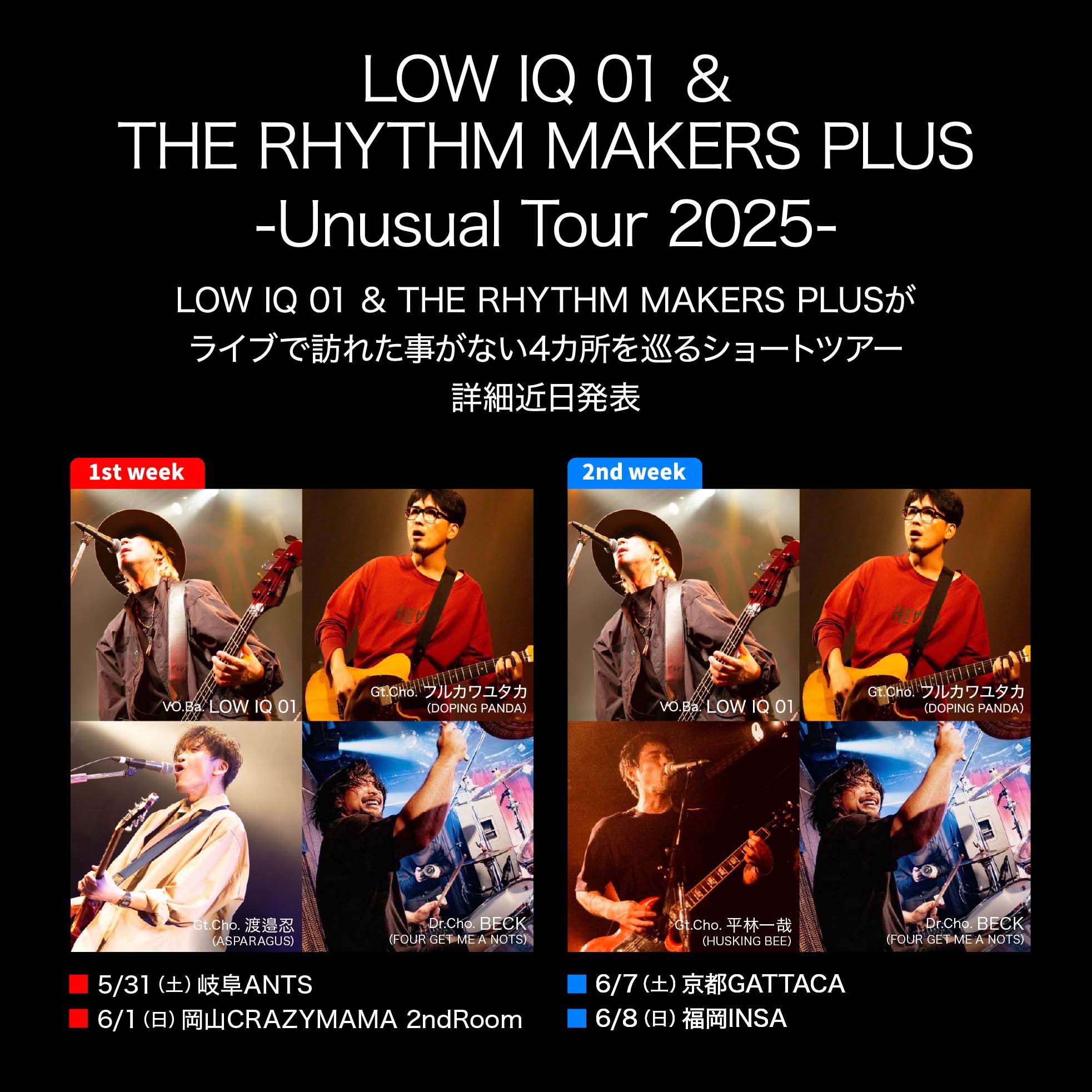 LOW IQ 01_staff on X: LOW IQ 01_staff on X: