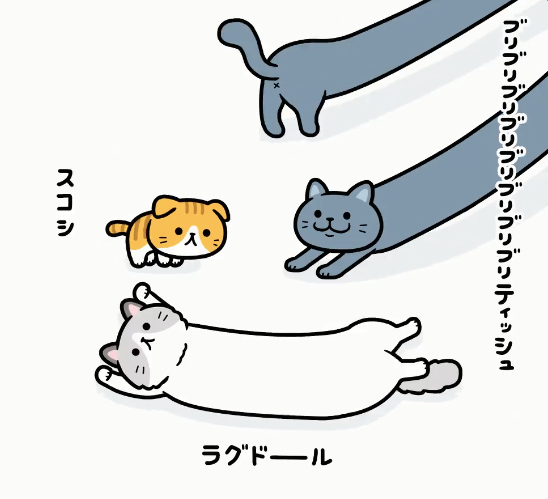 めっちゃブリブリして笑っちゃった

#猫の日 