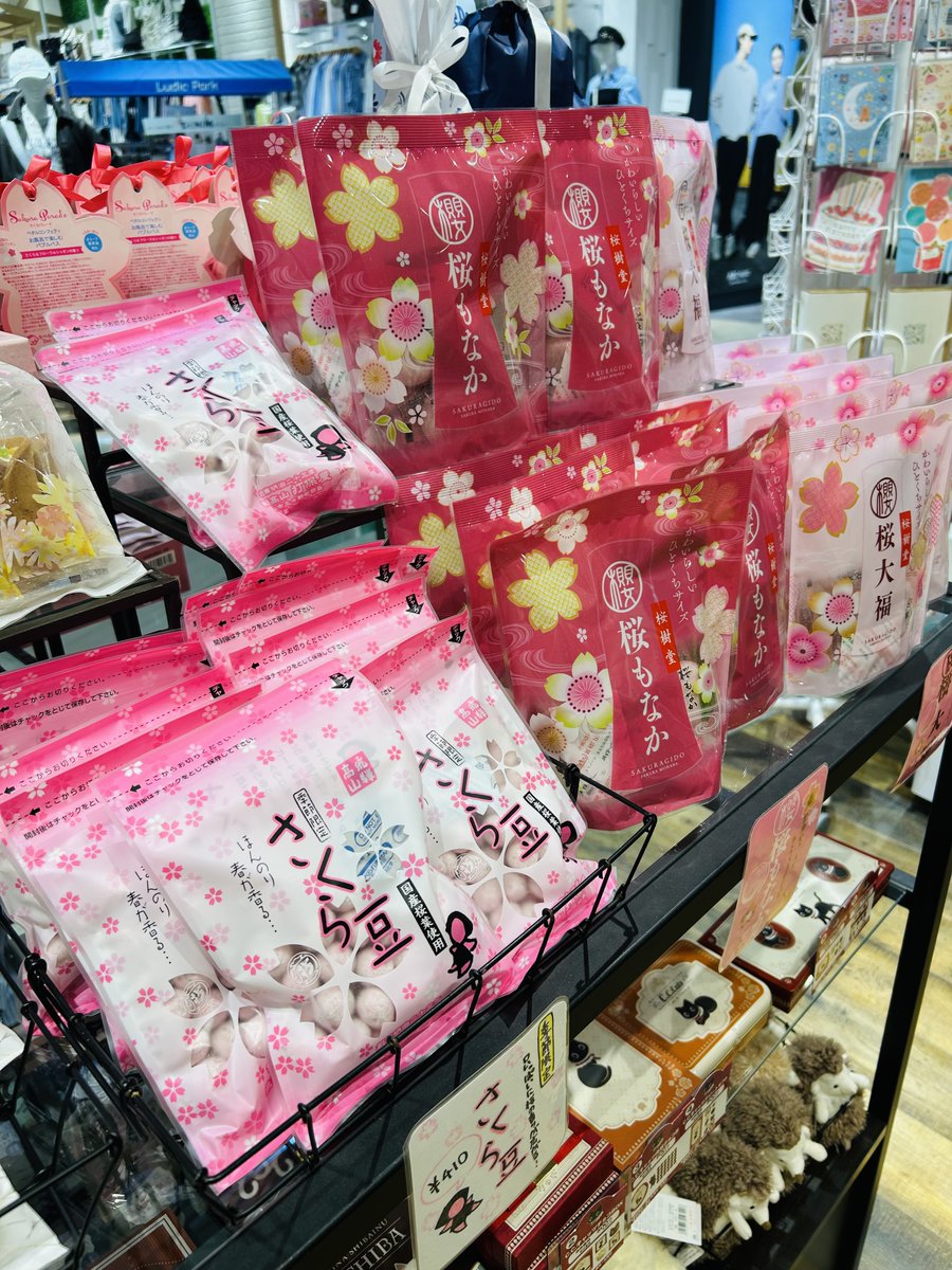libretto_zm's tweet photo. 🌸春のお菓子、入荷いたしました🌸

ひと口サイズの大���や最中、見た目も可愛らしい金平糖など日本ならではの春のお菓子をたくさん取り揃えております😊

まだ寒い日々が続いていますが、一足先に春を感じてはいかがでしょうか🩷

皆様のご来店、心よりお待ちしております！

#座間イオン
#お菓子
#桜 https://t.co/dnv7GzavLv