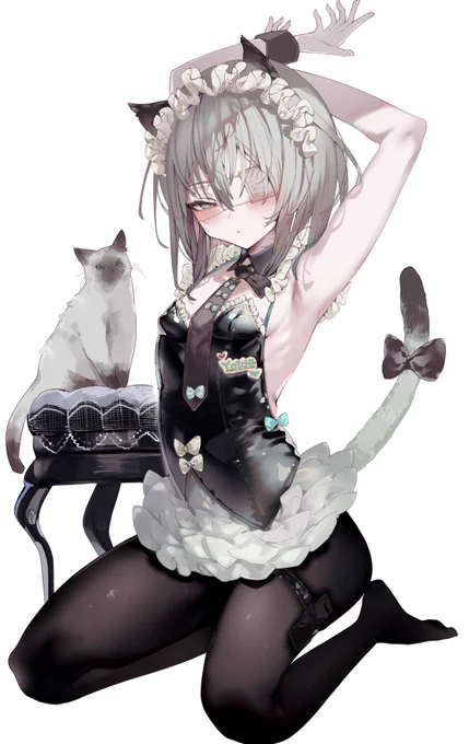 シャムねこですにゃ 