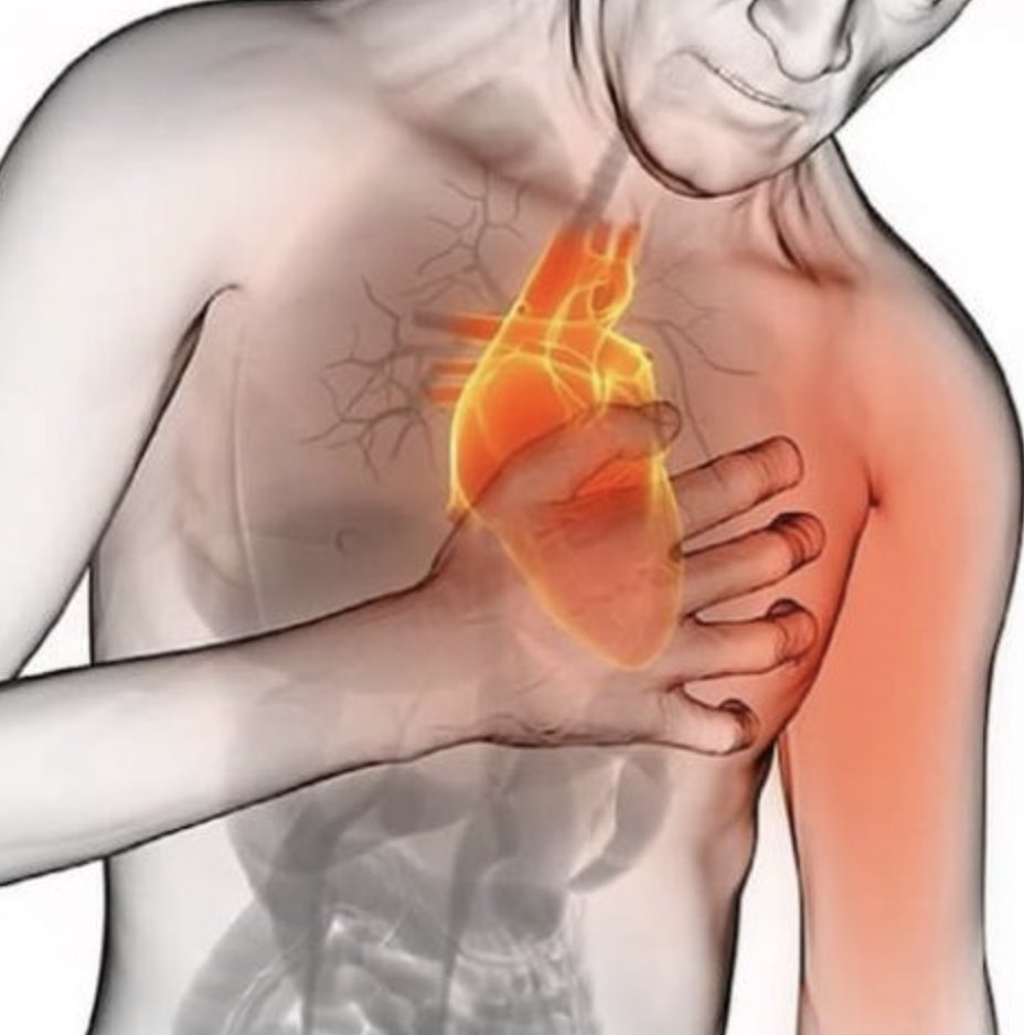 Mastering_life_'s tweet photo. The tragedy of modern men:

They’ll work 40+ hours for their family,
but won’t get healthy for them.

Meanwhile 1/4 die from heart disease.

7 steps to prevent an early death (even if you don’t have time): https://t.co/gy5Fc2OsIo
