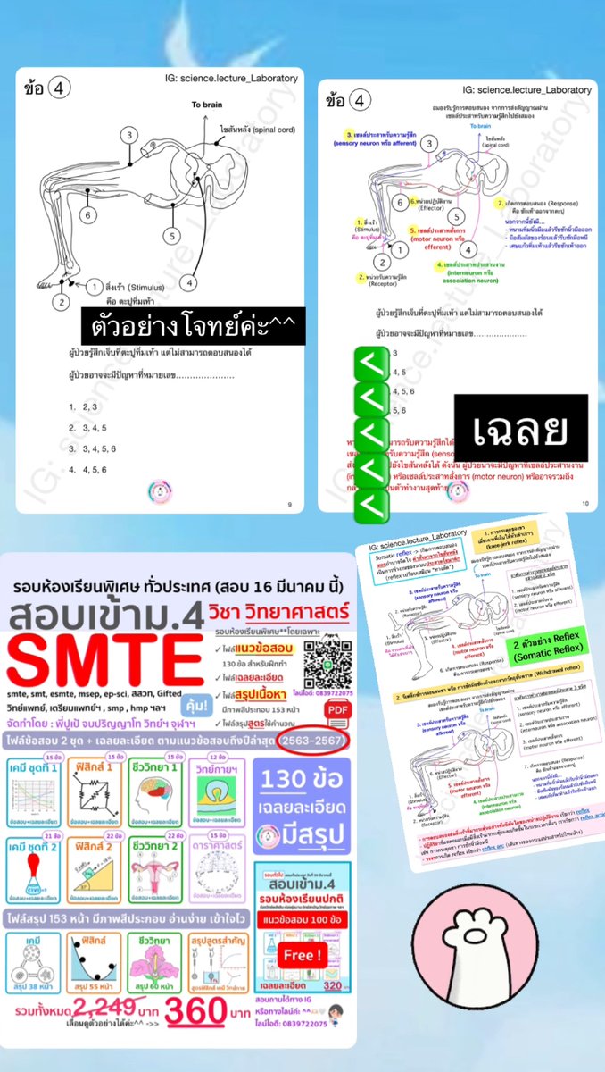 pupe_MSc_chula's tweet photo. ติดตามแนวข้อสอบ สอบเข้าม.4 รอบห้องเรียนพิเศษ ทั่วประเทศ ได้ทางไอจีนี้ค่ะ^^ พี่ลงสรุปและแนวข้อสอบให้ทุกวันค่ะ^^
https://t.co/V0hy9L0RpN
#smte #สสวท #esmte #smp #msep #ห้องเรียนพิเศษ #สอบเข้าม4 #พสวท #เตรียมอุดม #dek71 #tu #mwit #จภ #วมว #dek70 #dek69 #dek68 https://t.co/KIQMqhwDPb