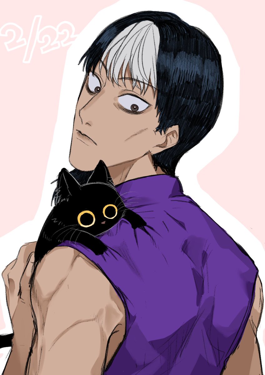 ねこの日🐈 