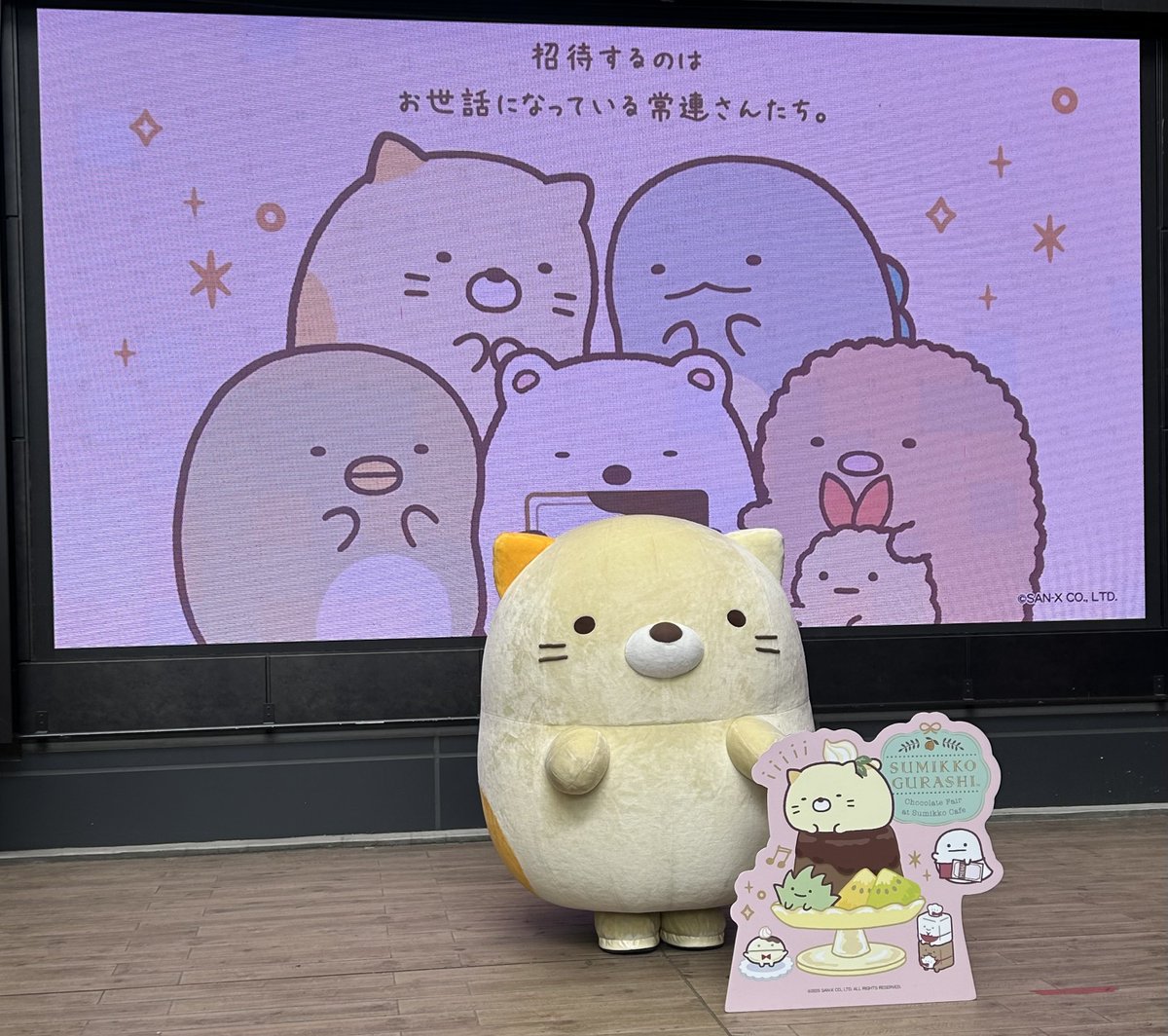 ビンタ tweet media