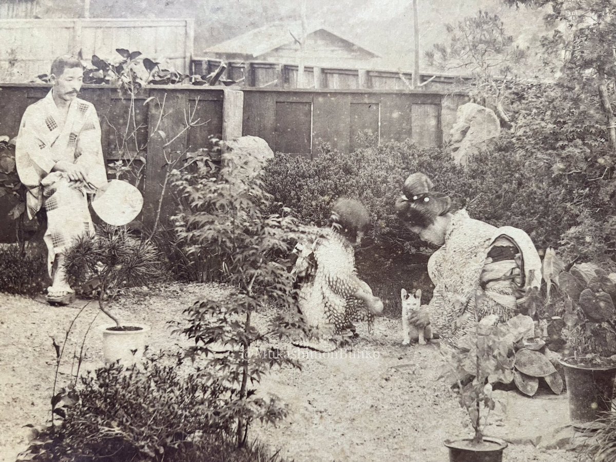 明治時代 - Search / X